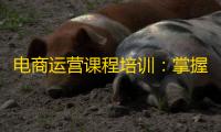 电商运营课程培训：掌握核心技能，成为电商精英，解锁将来商业脉搏
