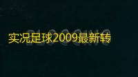 实况足球2009最新转会补丁