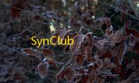 SynClub