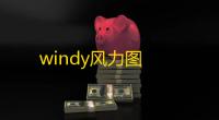 windy风力图